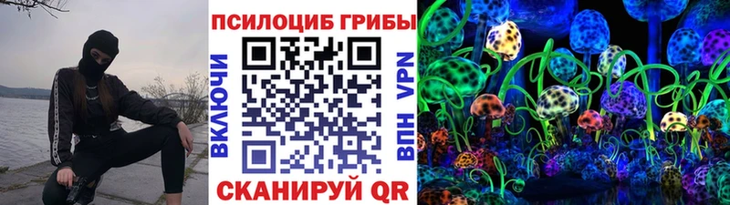 Псилоцибиновые грибы MAGIC MUSHROOMS  kraken ССЫЛКА  Кадников 